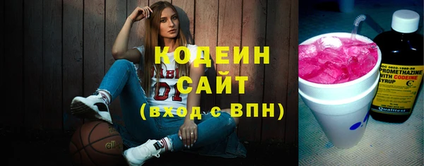 гашик Краснослободск