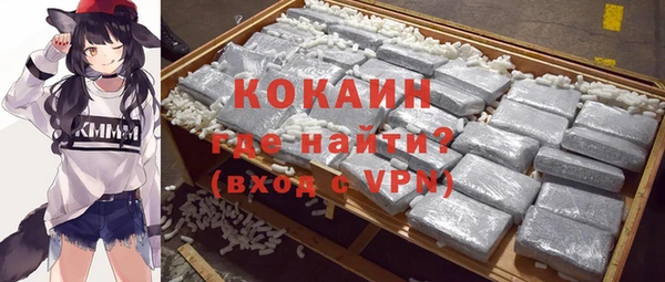 прущие грибы Чита