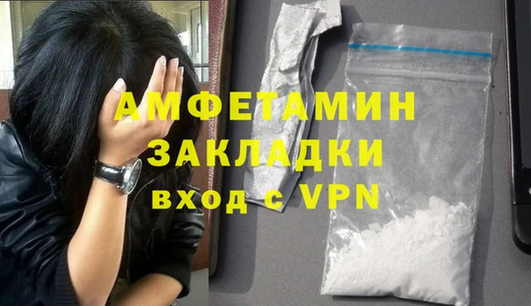 прущие грибы Кулебаки