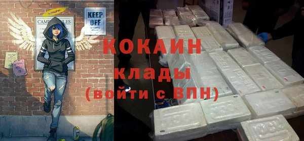 гашик Краснослободск