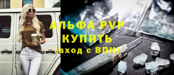 гашик Краснослободск