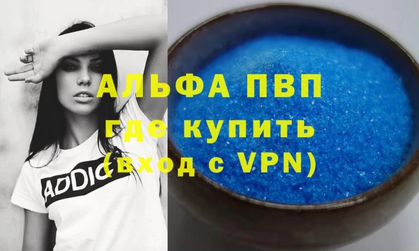 гашик Краснослободск