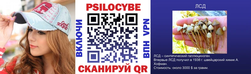 цены наркотик  Медвежьегорск  OMG онион  Псилоцибиновые грибы мицелий 