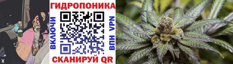где продают   Медвежьегорск  OMG как войти  Шишки марихуана марихуана 